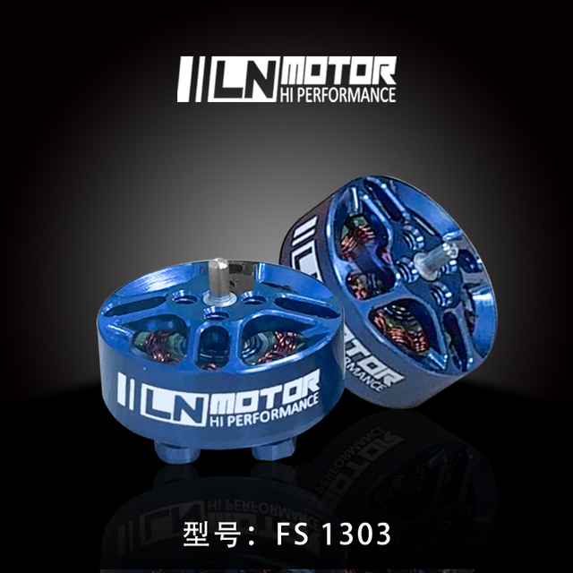 FS1303.5 Motor