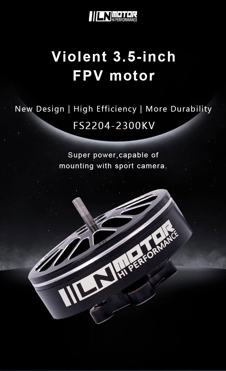 FS2204 Motor (1)
