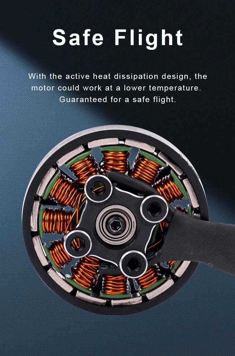 FS2204 Motor (2)