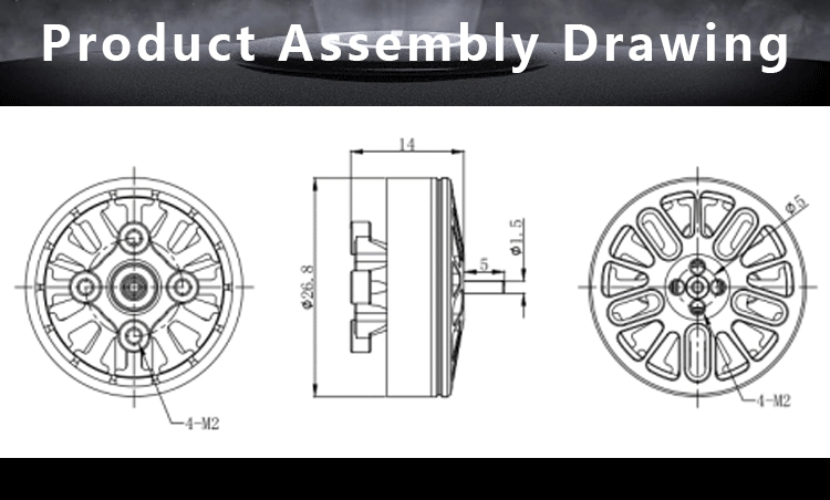 FS2204 Motor (4)